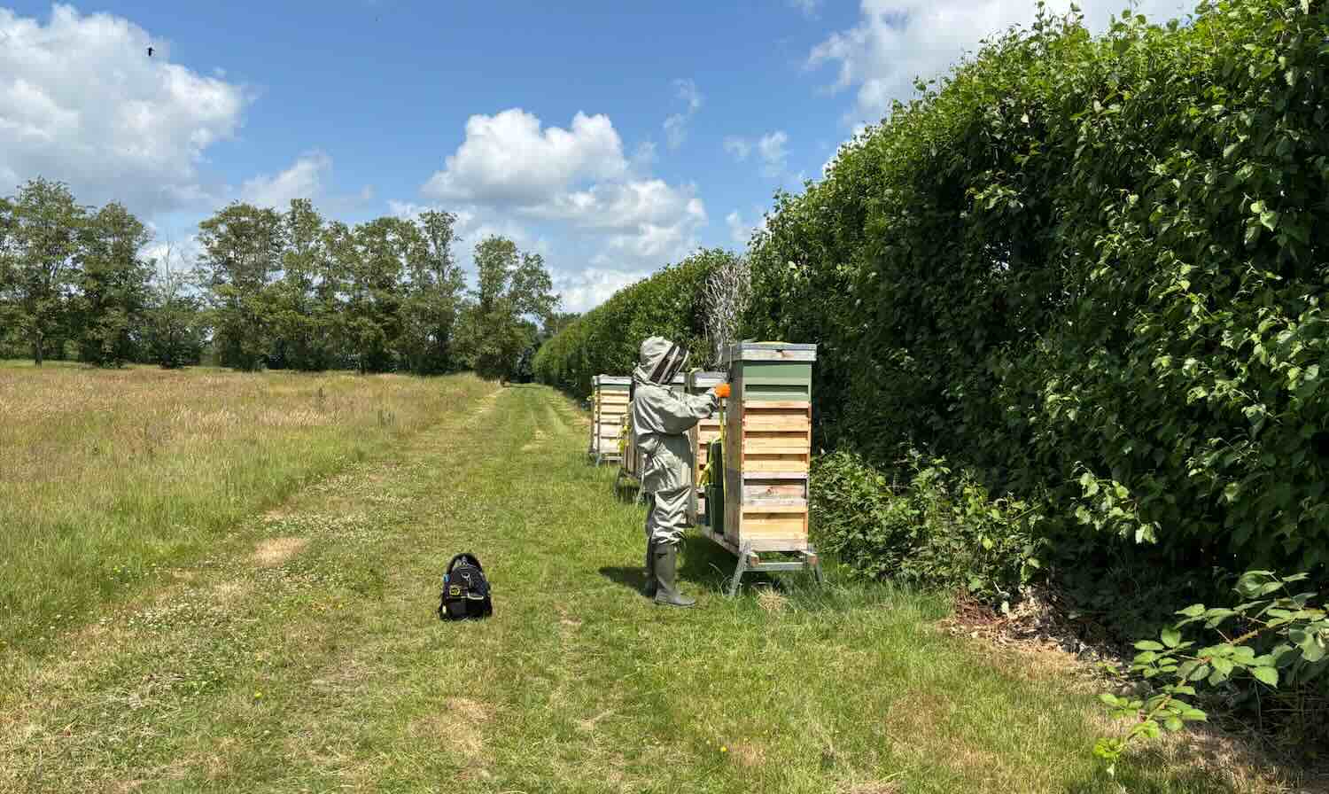 hellweatherhoney-hives